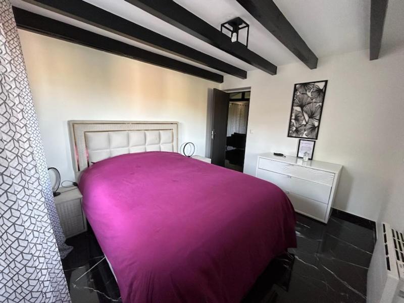 Sinalospa - Culiacan - Appartement Jardin Jacuzzi Sauna A 5 Minutes De Nancy Place Stanislas Champigneulles 외부 사진