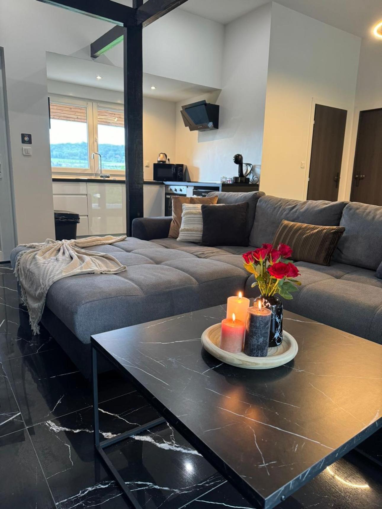 Sinalospa - Culiacan - Appartement Jardin Jacuzzi Sauna A 5 Minutes De Nancy Place Stanislas Champigneulles 외부 사진